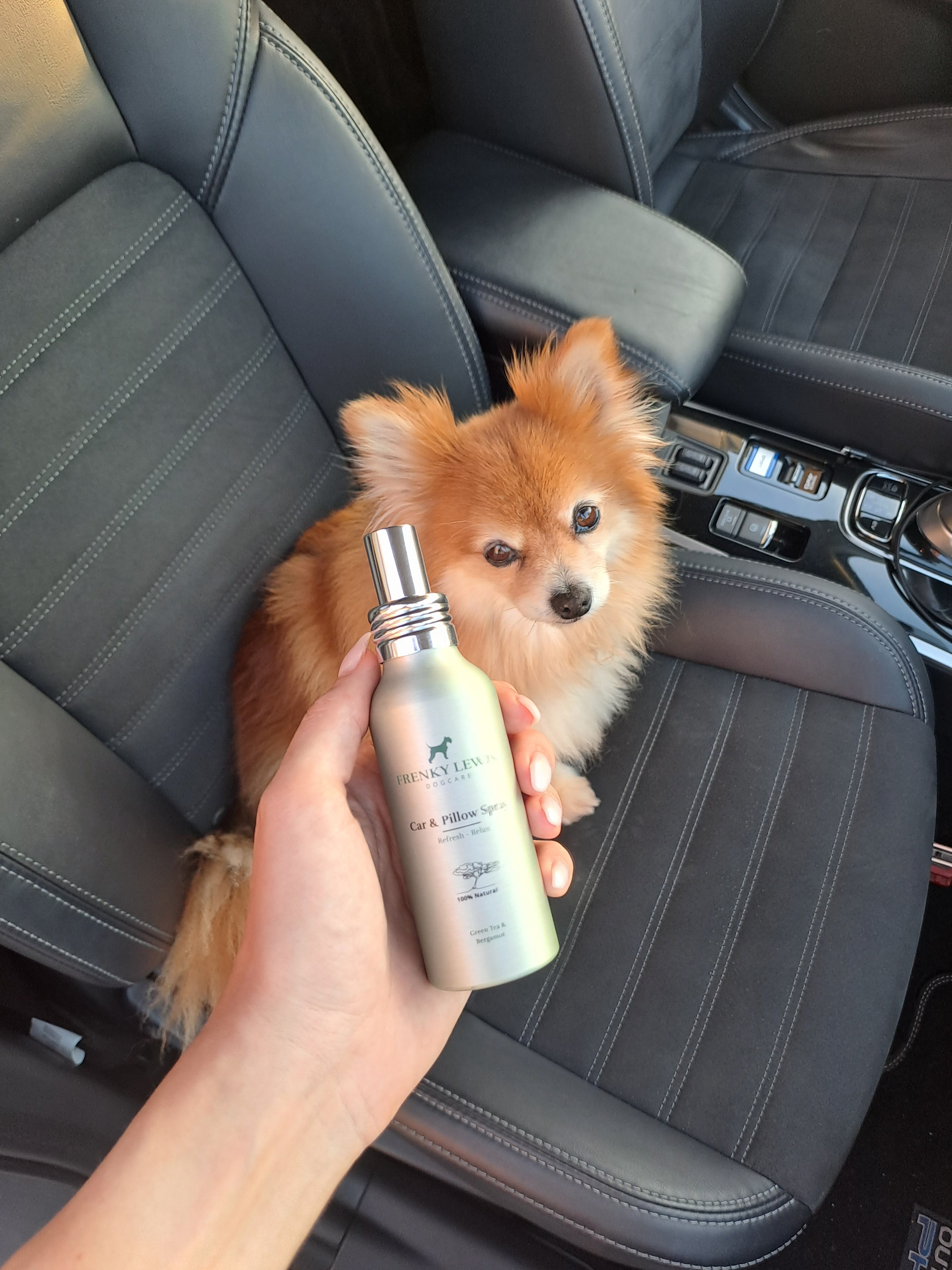 Car & Pillow spray Green Tea & Bergamot