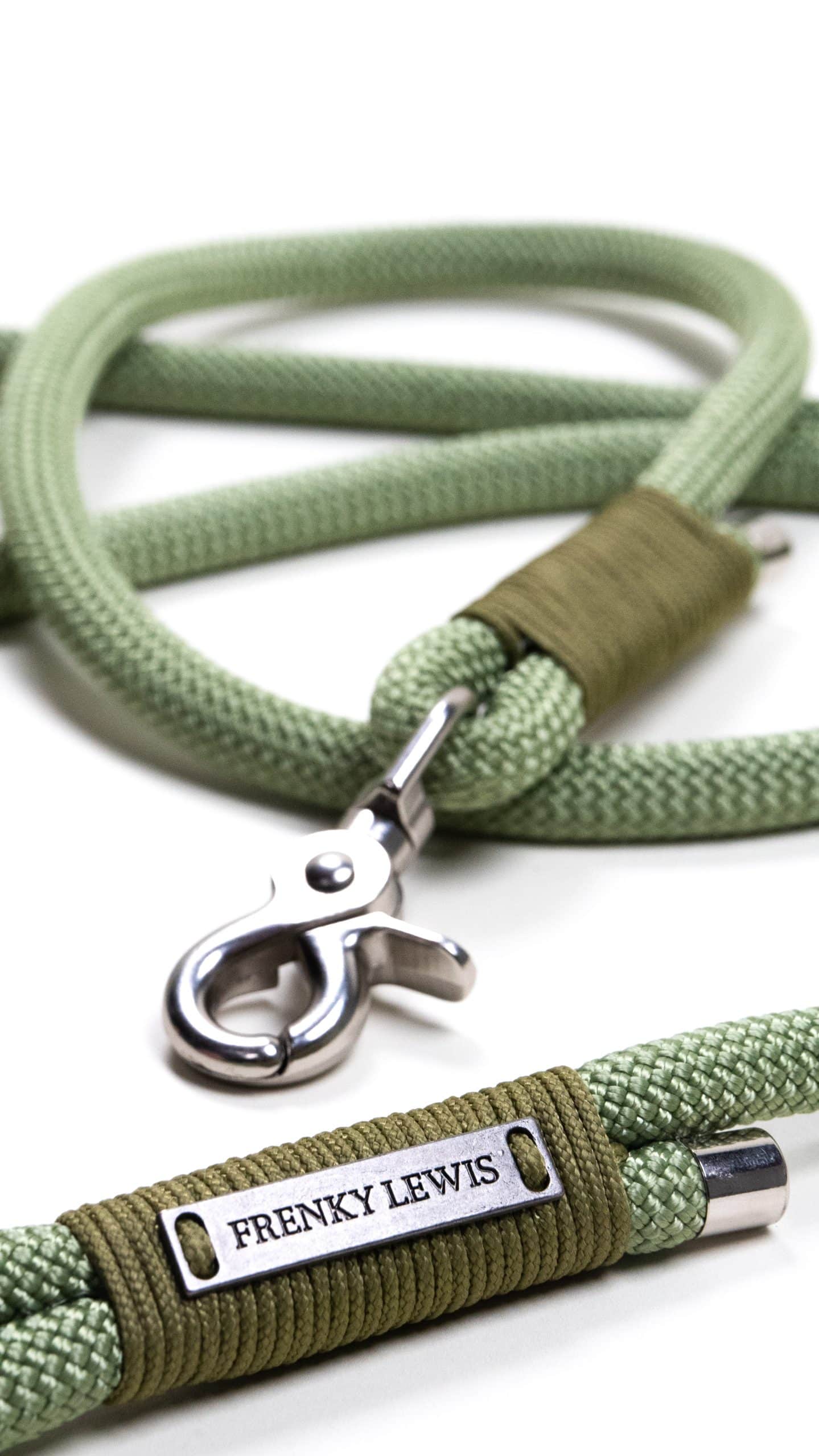 Hands Free Leash - Young Jagger - 250 cm