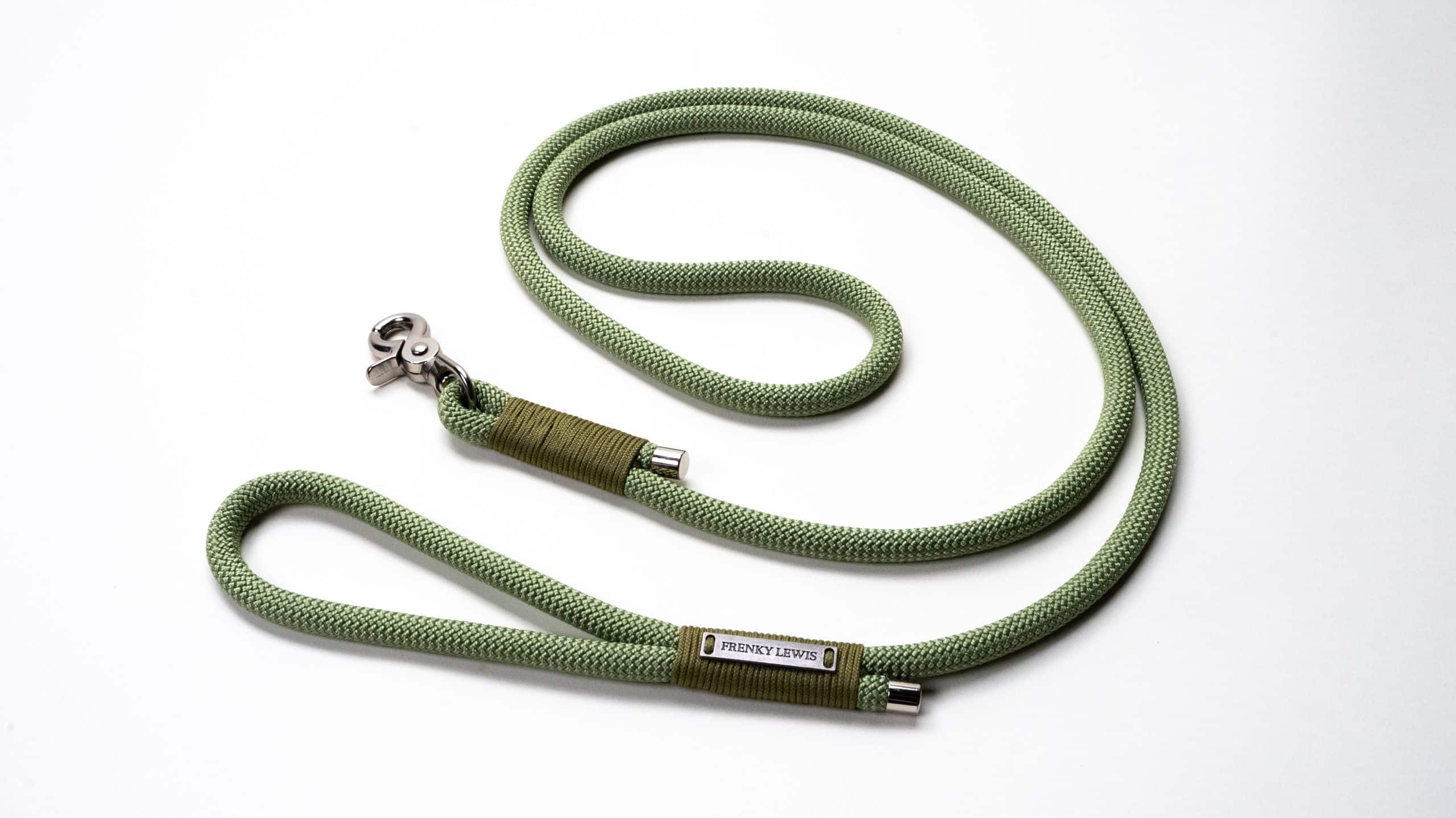 Hands Free Leash - Young Jagger - 250 cm
