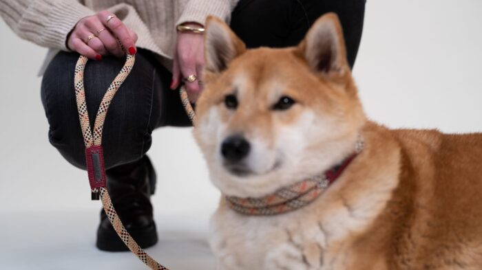 Hands Free Leash - Lola Milan - 2,5m