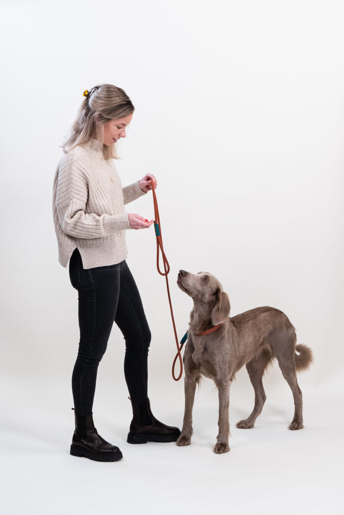 Dog Leash - Abby Green - 1.90m