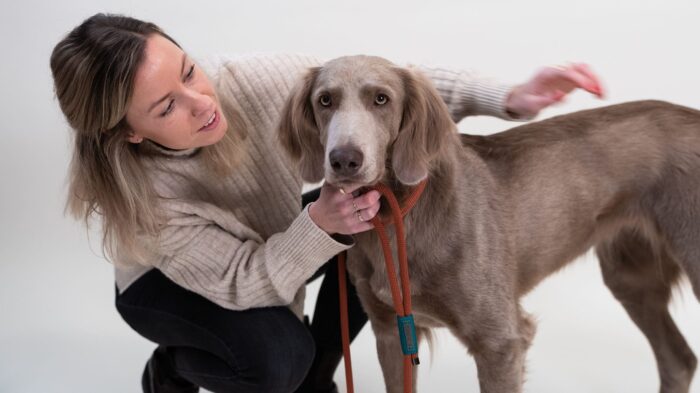 Dog Leash - Abby Green - 1.90m
