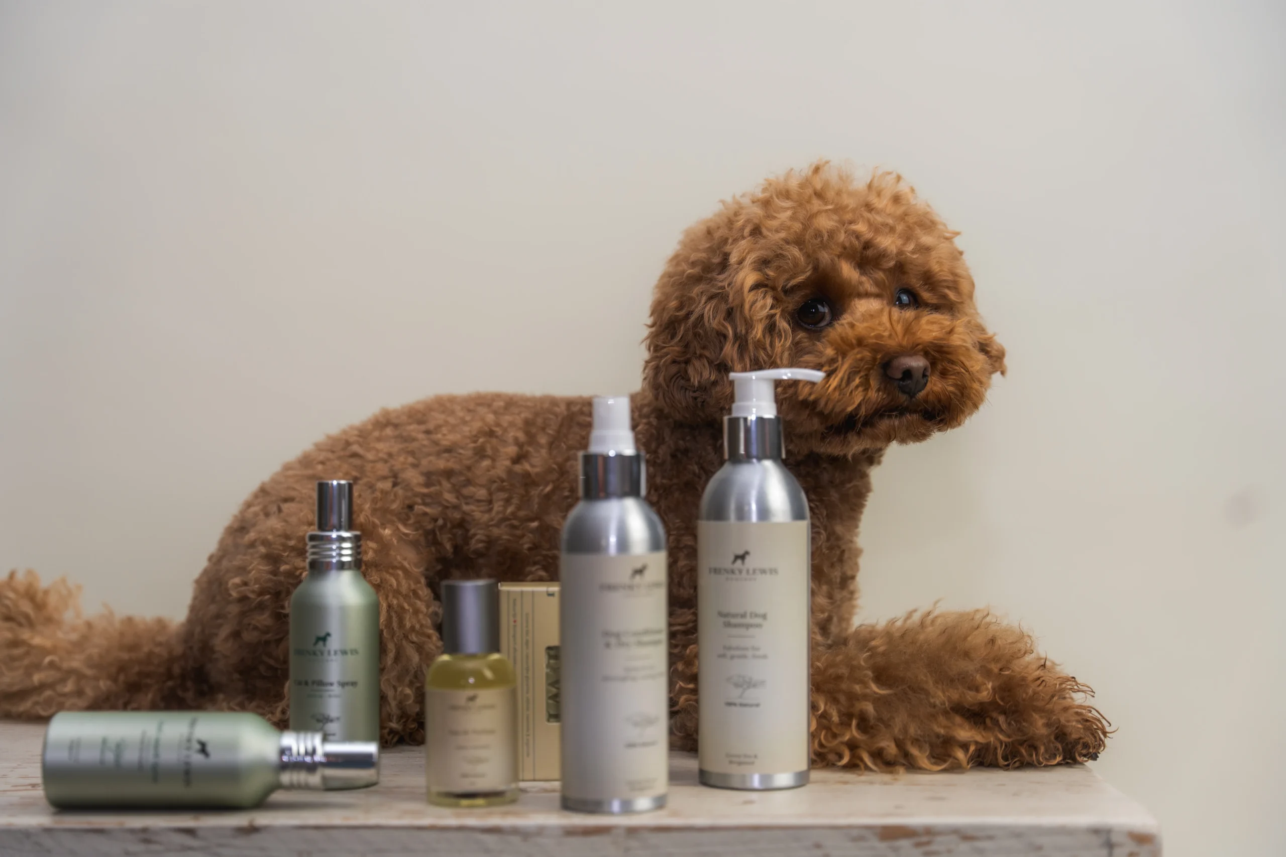 Hond met shampoo producten