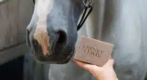 Barre de Shampoing Cheval Bois de Santal, Jasmin, Vanille - foto 2