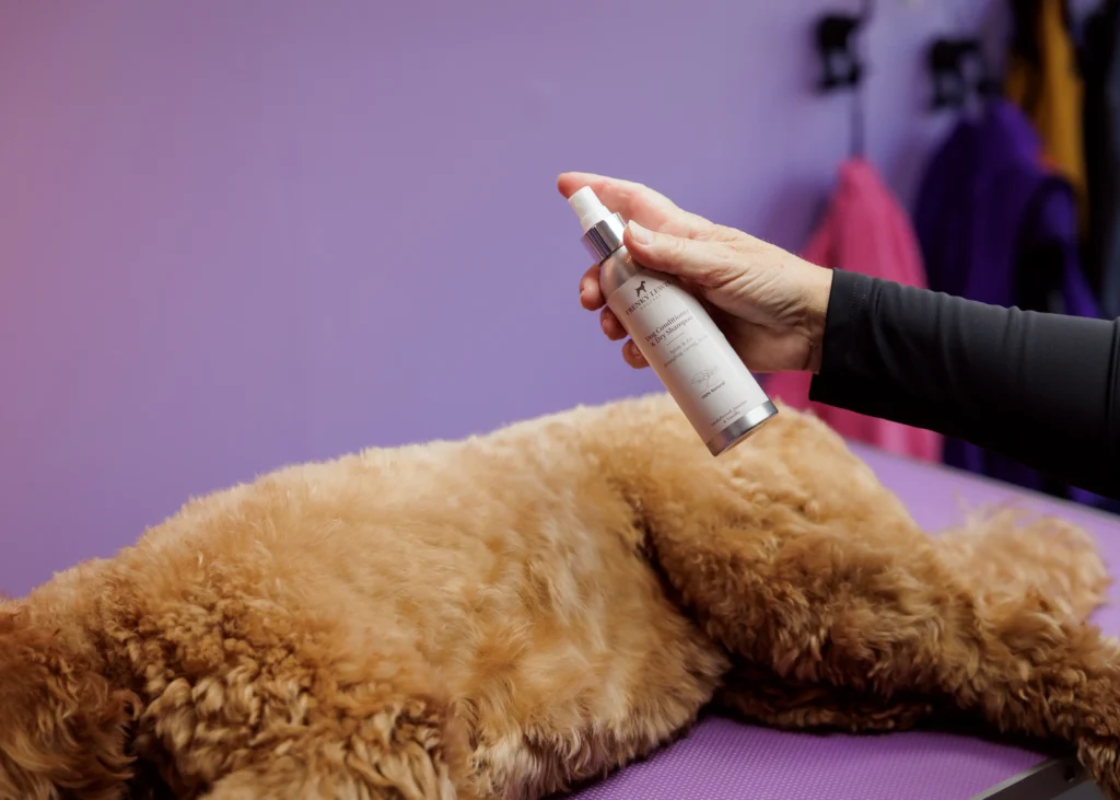 Buddha's Doodle Spa