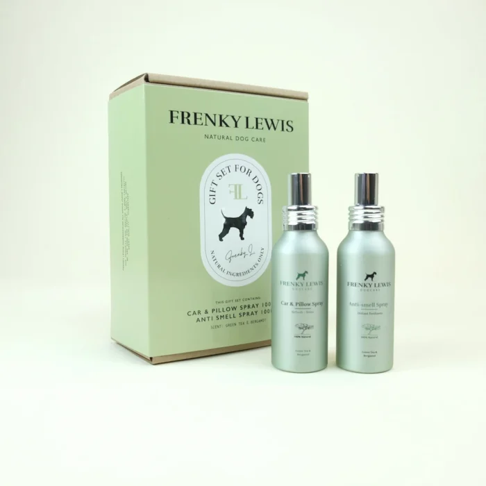 giftset hond antigeur en auto groen