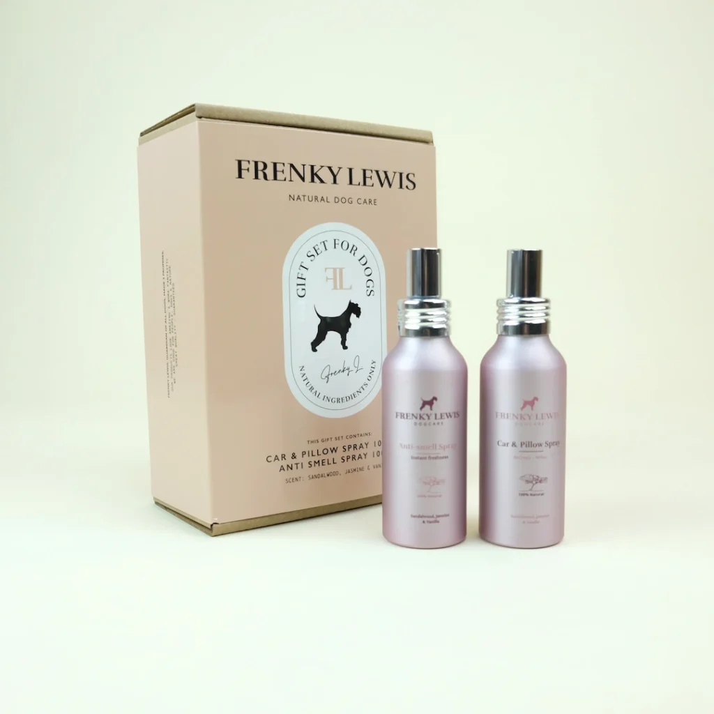 giftset hond auto en antigeur spray oranje