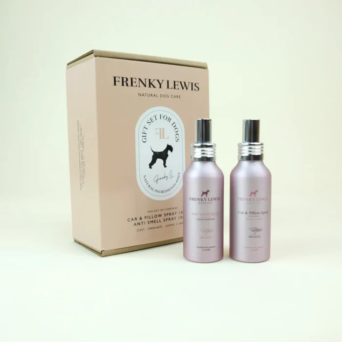 giftset hond auto en antigeur spray oranje