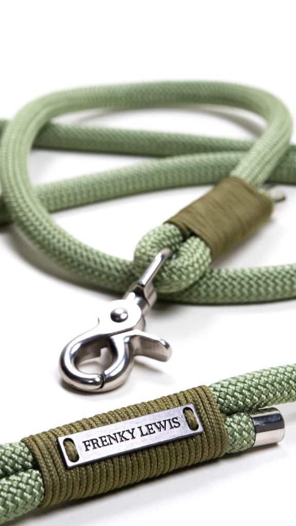 Hands Free Leash - Young Jagger - 250cm